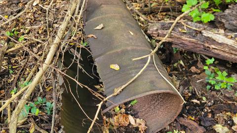 CVC Ruins - 20241008_161828.jpg