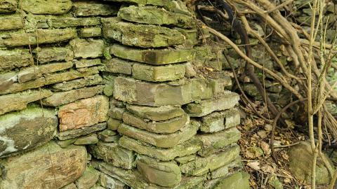 CVC Ruins - 20241008_161626.jpg