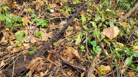 CVC Ruins - 20241008_161342.jpg