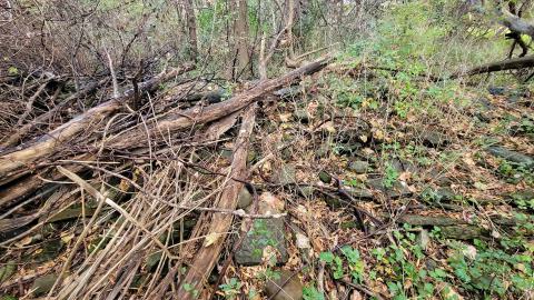 CVC Ruins - 20241008_161140.jpg