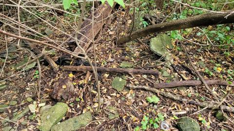 CVC Ruins - 20241008_161058.jpg