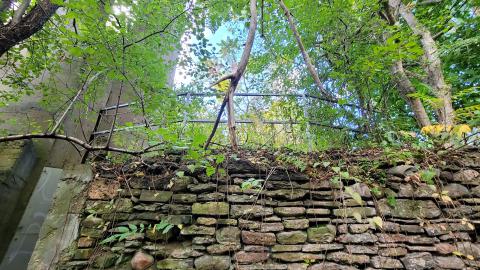 CVC Ruins - 20241008_161043.jpg