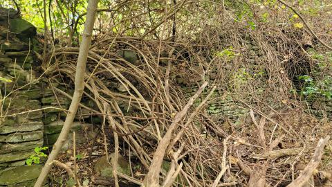 CVC Ruins - 20241008_160854.jpg