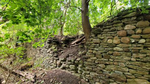 CVC Ruins - 20241008_160832.jpg