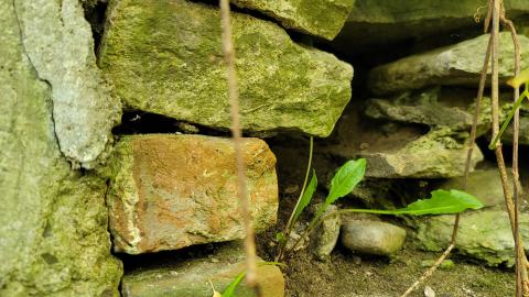 CVC Ruins - 20241008_160803.jpg