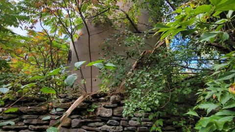 CVC Ruins - 20241008_160732.jpg