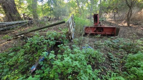 Old Farm Equipment - 20241010_165747.jpg
