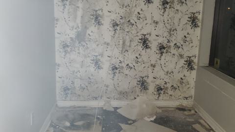 everything got unlocked - 20241004_230349.jpg