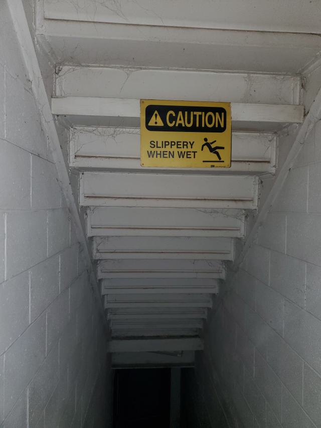 when patience pays off photo 2