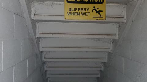 when patience pays off photo 2