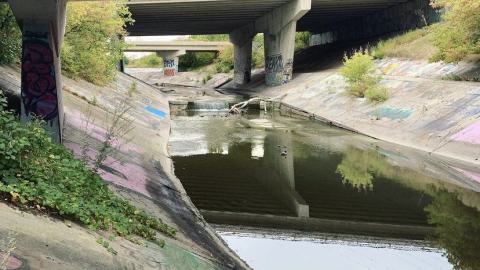 Photo from Down By The River