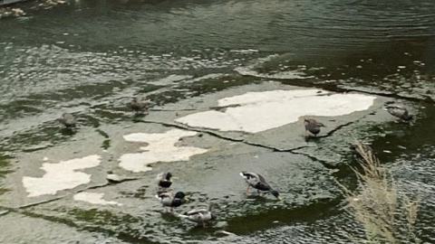 Photo from Down By The River