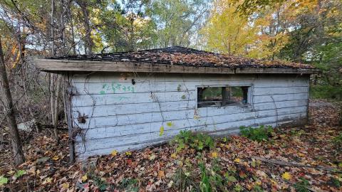 Oct 2024, A Proper Album - 20241016_181811.jpg