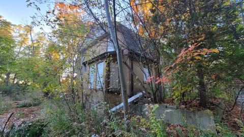 Oct 2024, A Proper Album - 20241016_181621.jpg