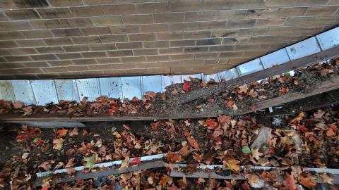 Oct 2024, A Proper Album - 20241016_181317.jpg