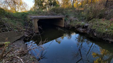 Echoing Halls - 20241016_172716.jpg