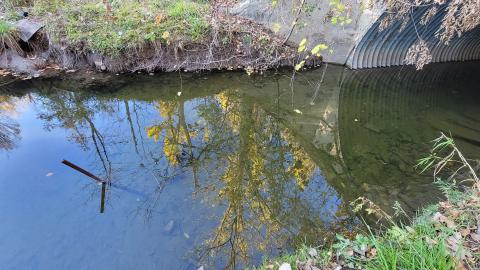 Echoing Halls - 20241016_172706.jpg