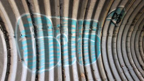 Echoing Halls - 20241016_172525.jpg