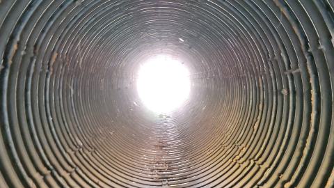 Echoing Halls - 20241016_172436.jpg