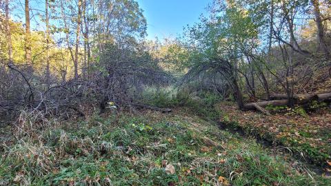 Echoing Halls - 20241016_172405.jpg