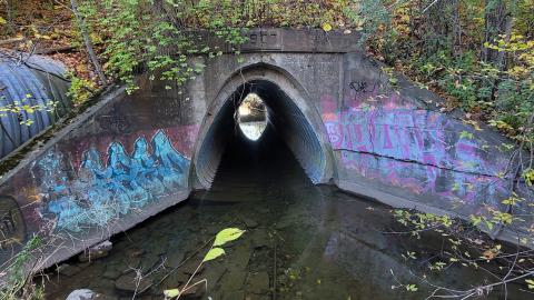 Echoing Halls - 20241016_172348.jpg