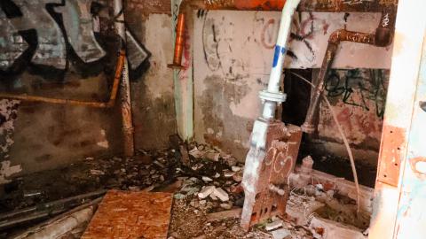 Photo from Back to Camp 30