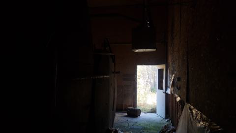 Custom Concrete 2024 - 20241017_172247.jpg