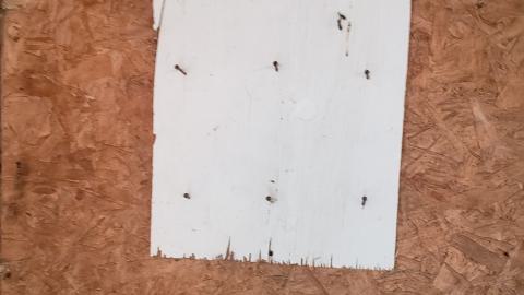 Custom Concrete 2024 - 20241017_172601.jpg