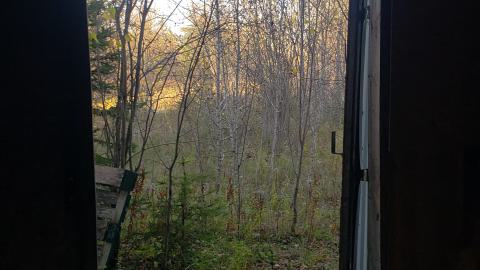 Custom Concrete 2024 - 20241017_172122.jpg