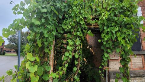 Century Manor Exteriors - 20240929_100544.jpg