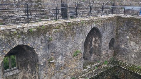 Blarney Castle and Gardens - Subcounty, State