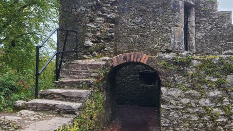 Blarney Castle and Gardens photo 4