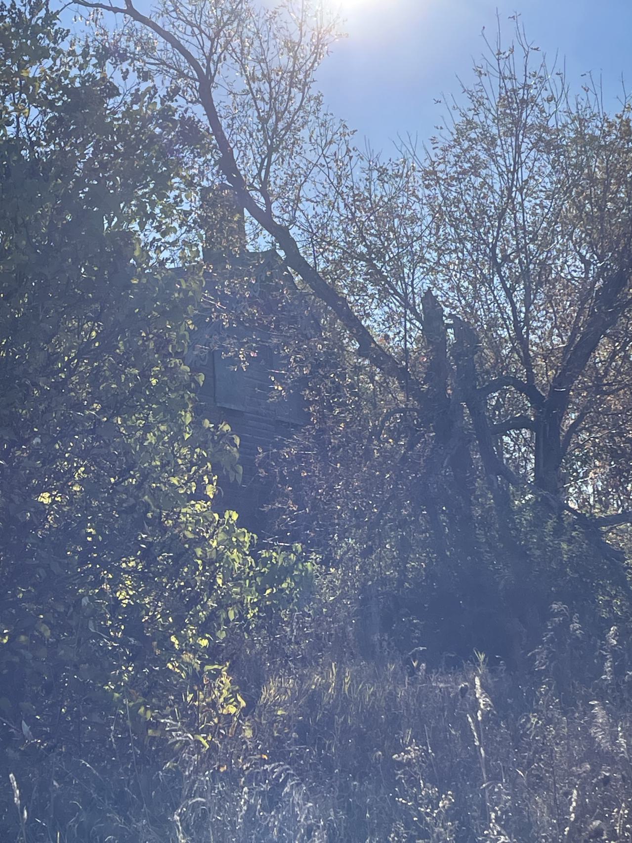 Little old house - IMG_3839.jpeg