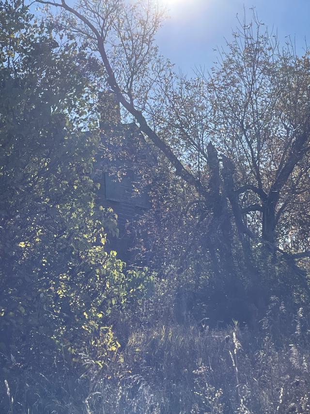 Little old house - IMG_3839.jpeg