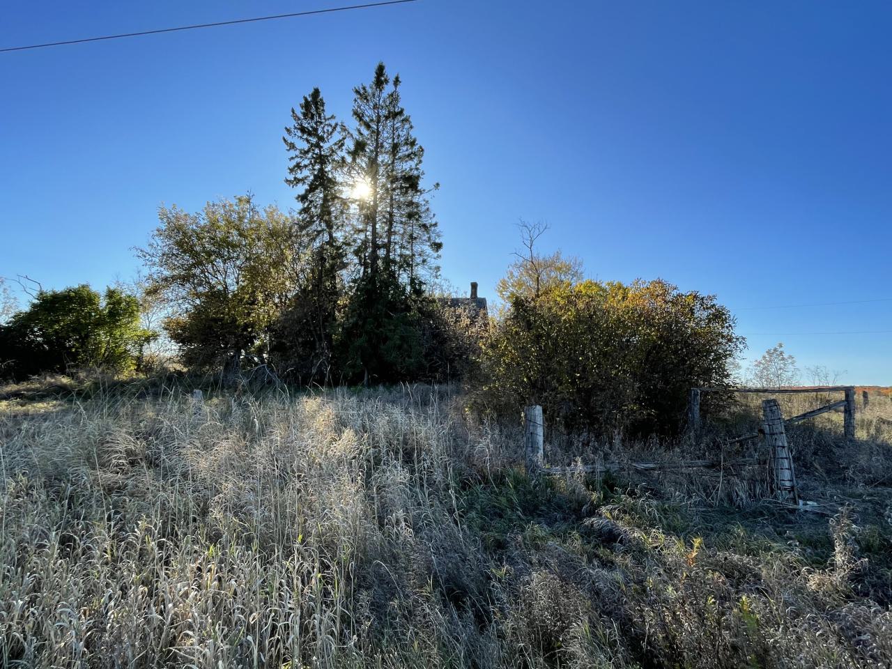 Little old house - IMG_3838.jpeg