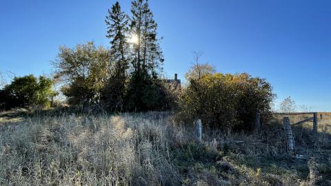 Little old house - IMG_3838.jpeg