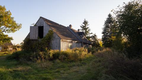 Photo from Freshly Boarded - Mid October 2024