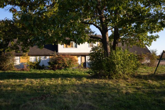 Back of the house (1)