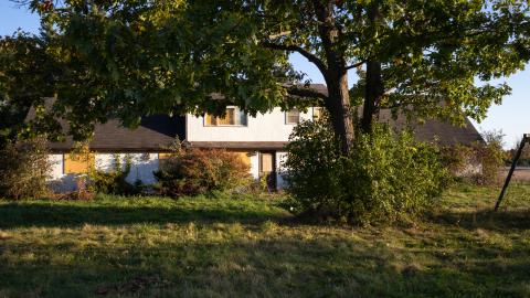 Photo from Freshly Boarded - Mid October 2024