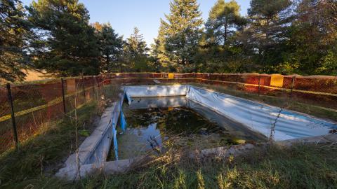 Photo from Freshly Boarded - Mid October 2024