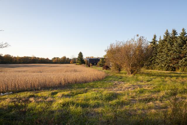 View from the property line