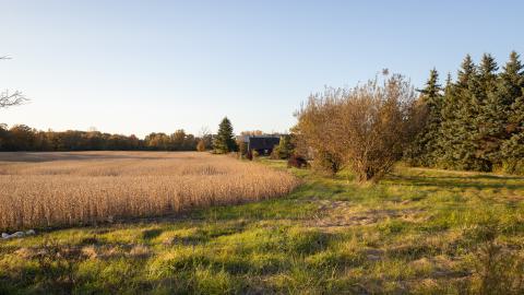 View from the property line