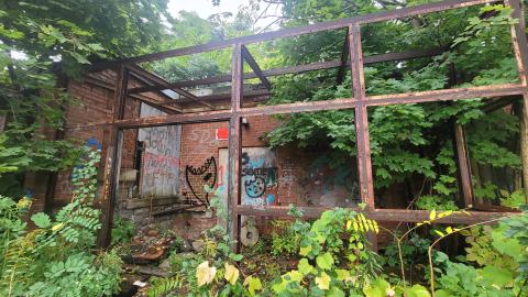 Century Outbuildings - 20240929_101221.jpg