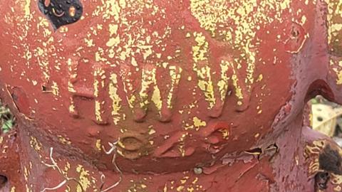 Century Outbuildings - 20240929_101151.jpg