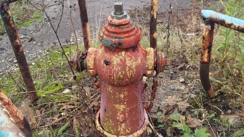 Century Outbuildings - 20240929_101147.jpg