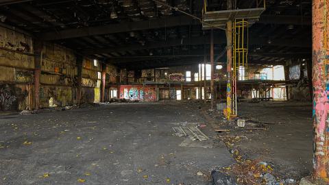 Sawmill Dream Cut Short - IMG_5259.jpeg