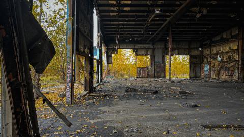 Sawmill Dream Cut Short - IMG_5257.jpeg