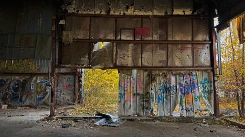 Sawmill Dream Cut Short - IMG_5258.jpeg