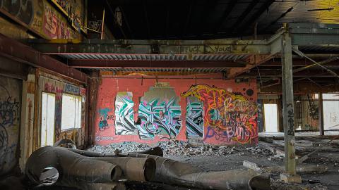 Sawmill Dream Cut Short - IMG_5261.jpeg