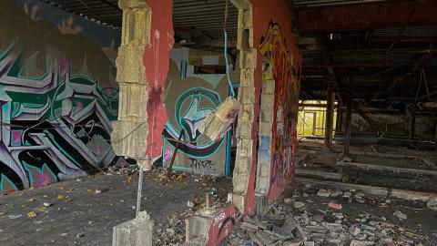 Sawmill Dream Cut Short - IMG_5263.jpeg